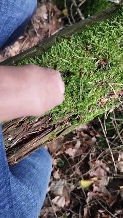 IMG_20230730_153333.jpg