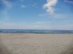 IMG_20230618_135947.jpg