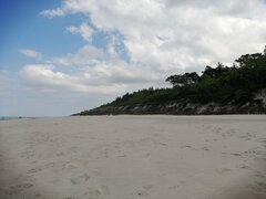 IMG_20230618_135940.jpg