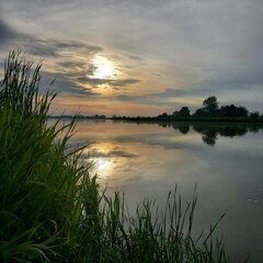 20230825_064356.jpg
