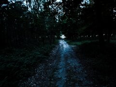 IMG_20230701_221035.jpg
