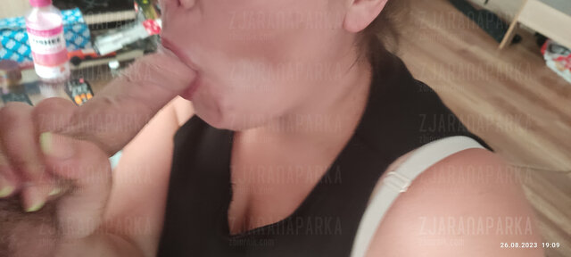 ZjaranaParka