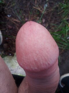 IMG_20230827_063102_082.jpg
