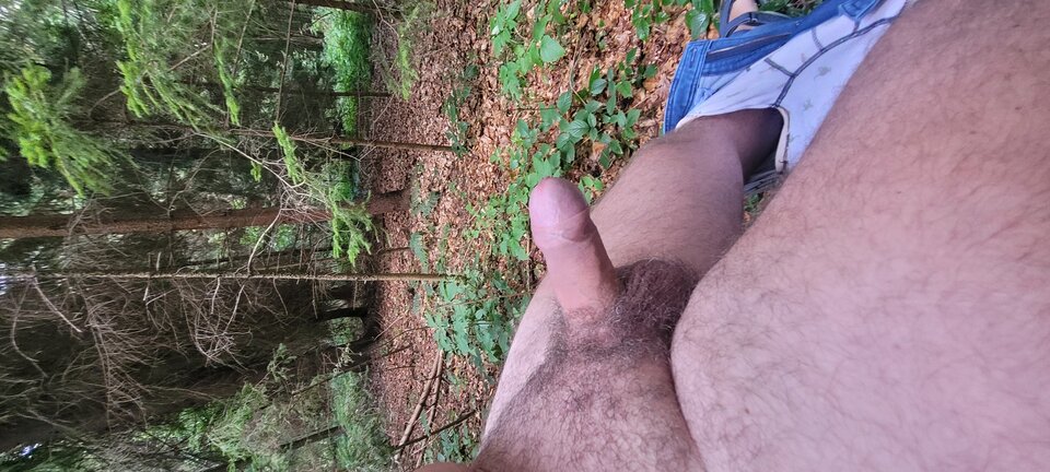 20230826_170712.jpg - lubieBubsy