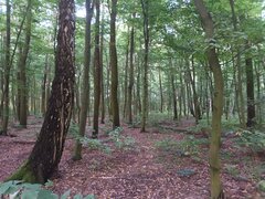 20230827_181610.jpg