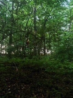 20230827_182230.jpg