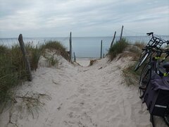 IMG_20230812_172159.jpg