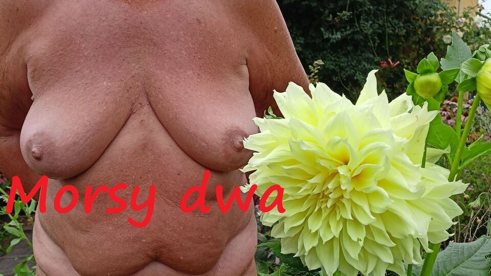 Moja Pani !!! Po kąpieli. - Morsy_dwa