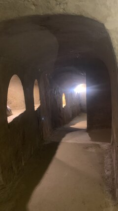 IMG_8019.jpeg