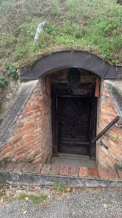 IMG_8017.jpeg