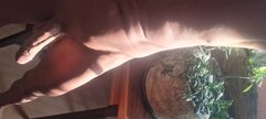 20230816_183408.jpg