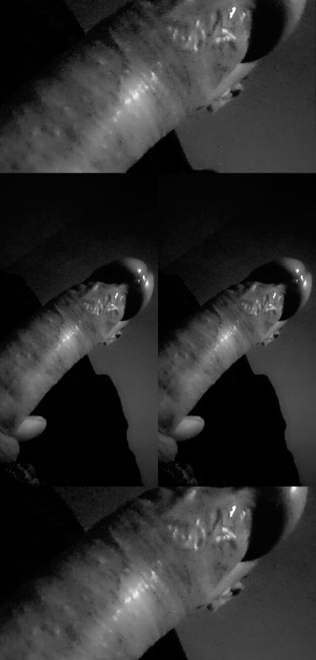 Bullekzs