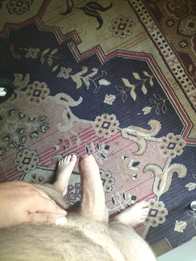 Sexipara32
