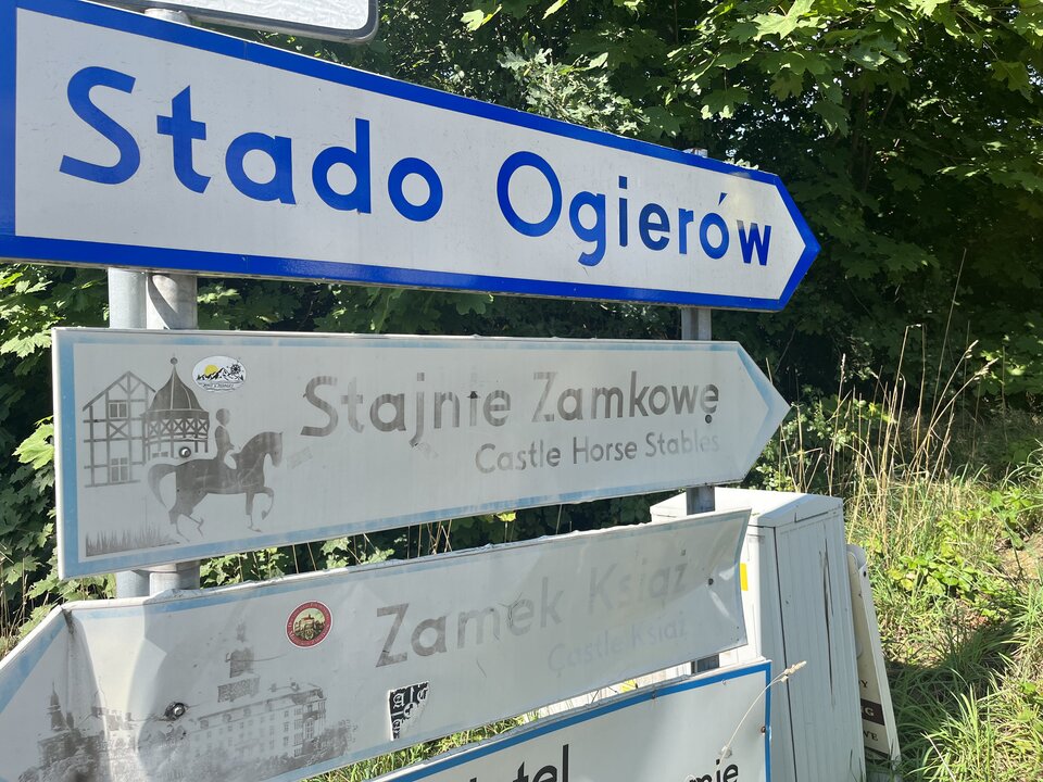 IMG_6569.jpeg - ParaWwoHot