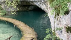IMG_8151.jpeg