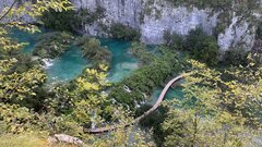 IMG_8266.jpeg
