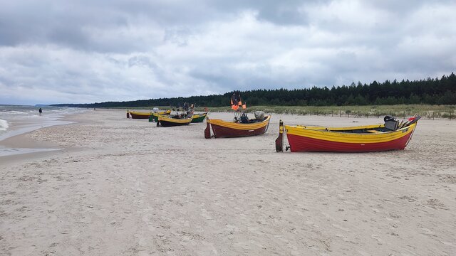 Mr_Rocco_Vaginator