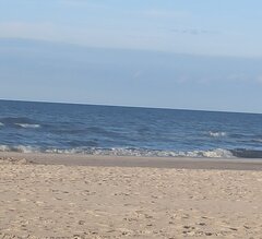 IMG_20230901_182504.jpg