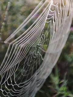 IMG_20230823_061112.jpg