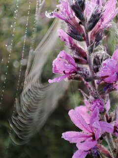 IMG_20230823_061053.jpg