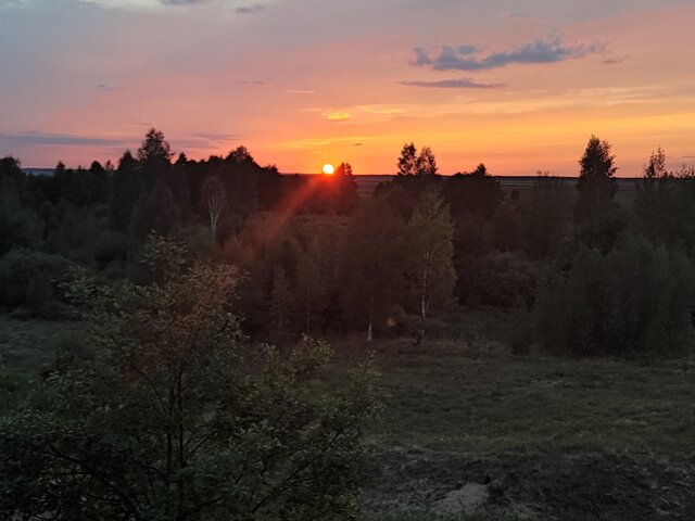 krecik1999