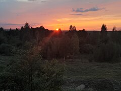 IMG_20230822_193734.jpg