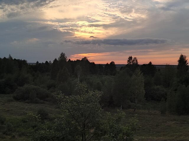 krecik1999