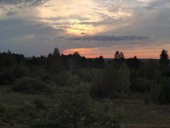 IMG_20230822_191326.jpg