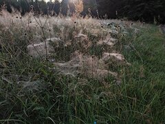IMG_20230823_063825.jpg
