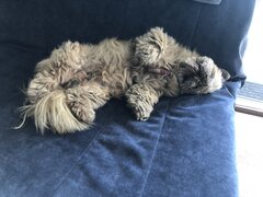 IMG_3095.jpeg