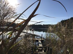 IMG_1022.jpeg