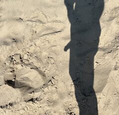 IMG_1592.jpeg
