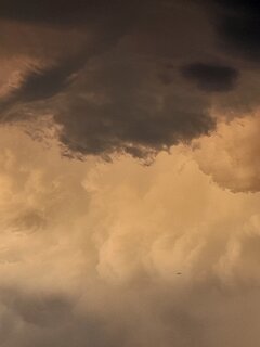 20230822_194122.jpg