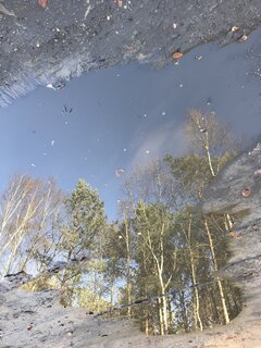 IMG_1039.JPG