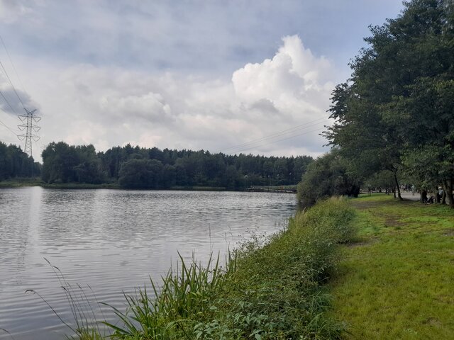 Ambrozja2
