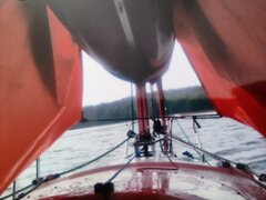 IMG_20230904_161435.jpg