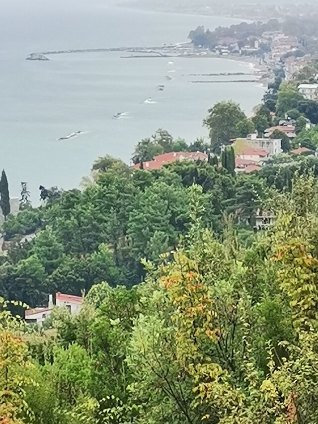 takfajnie