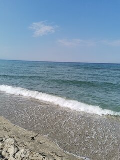 IMG_20230902_160550.jpg
