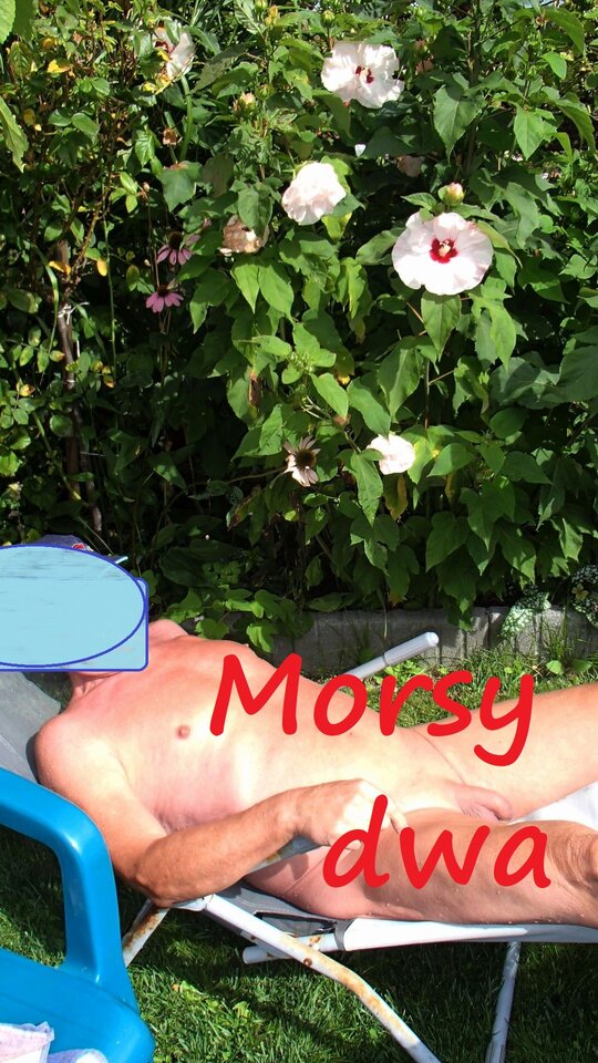 Zbiornik 2217. - Morsy_dwa