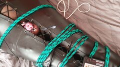 20230907_110202.jpg