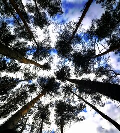 IMG_20230610_085617.jpg