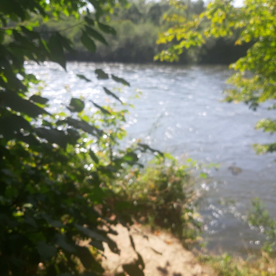 20230907_141005.jpg - Ali70plus