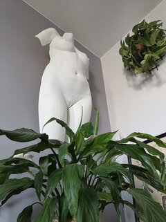 IMG_20230625_121549927.jpg