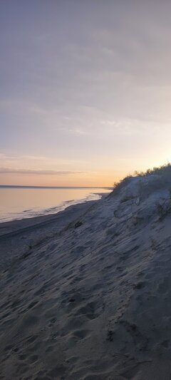 IMG_20230814_060935.jpg