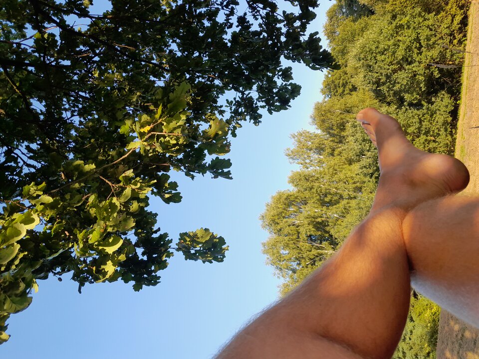 20230908_171537.jpg - 78MAR