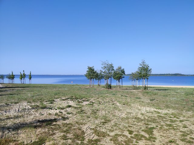 Tygrysyy