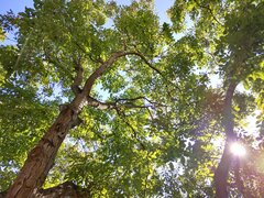 IMG_20230908_133008.jpg