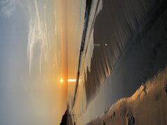 IMG_9313.jpeg