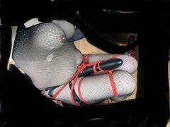 IMG_6401.jpeg