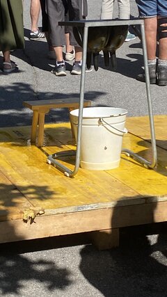 IMG_5430.jpeg